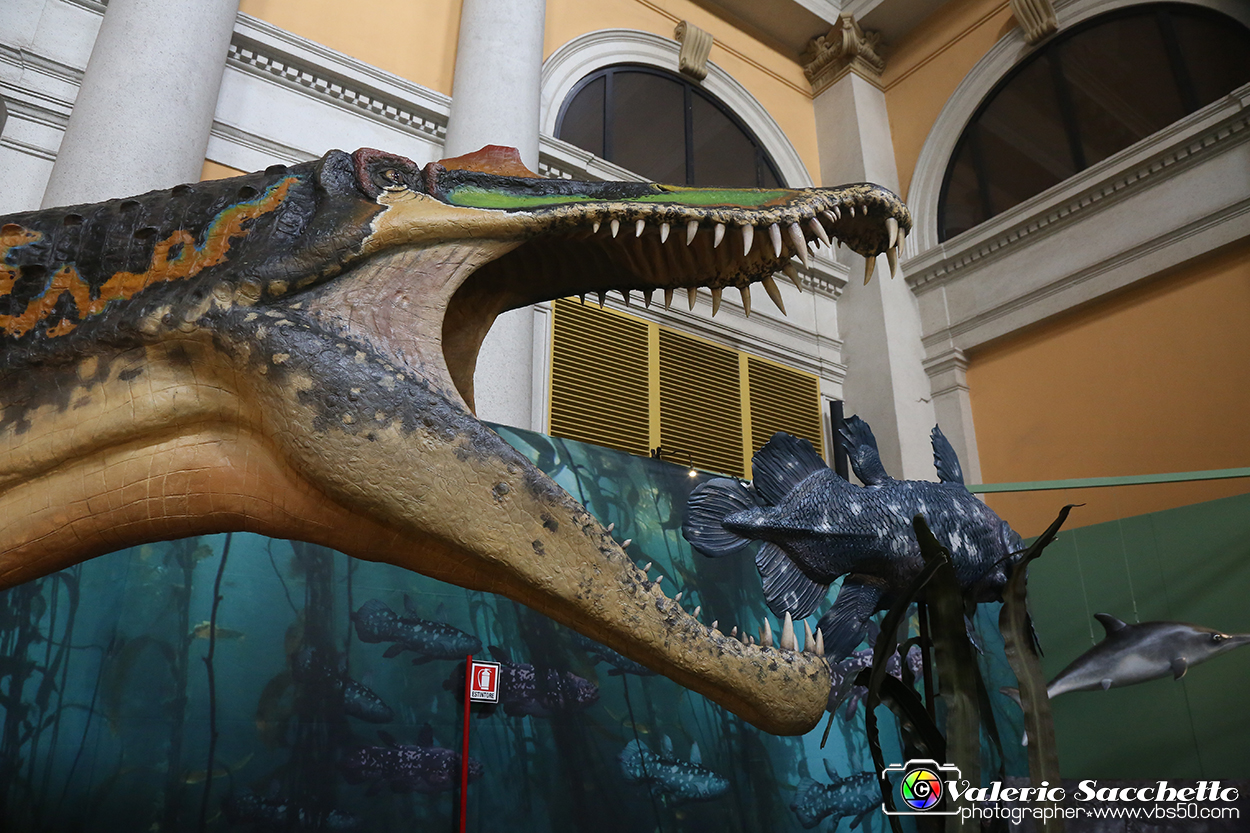 VBS_0957 - Dinosauri. Terra dei giganti.jpg